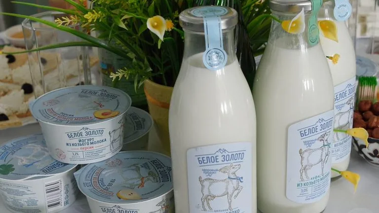 В Адыгее началось промышленное производство продукции из козьего молока.